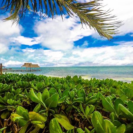 Punta Me Beach Suites แคนคูน ภายนอก รูปภาพ