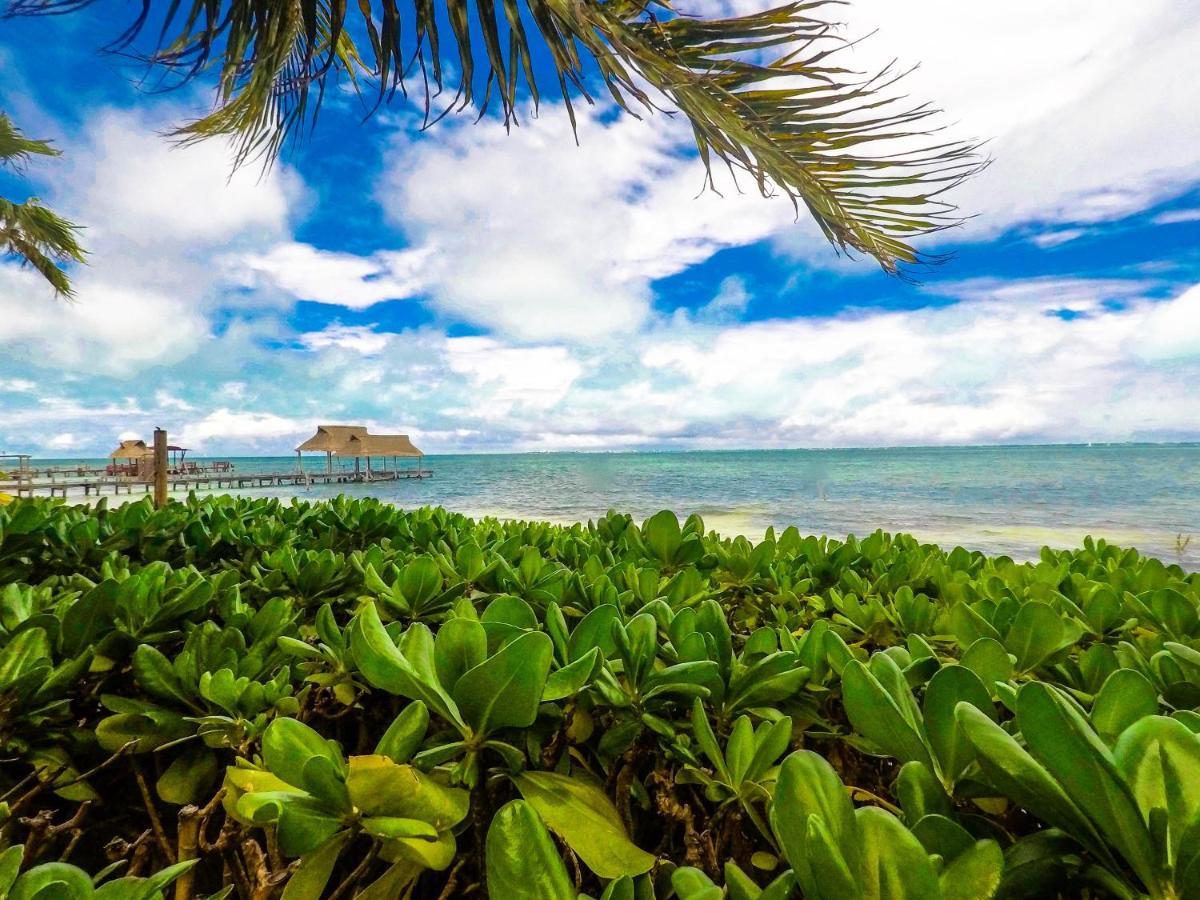 Punta Me Beach Suites แคนคูน ภายนอก รูปภาพ