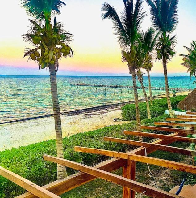 Punta Me Beach Suites แคนคูน ภายนอก รูปภาพ